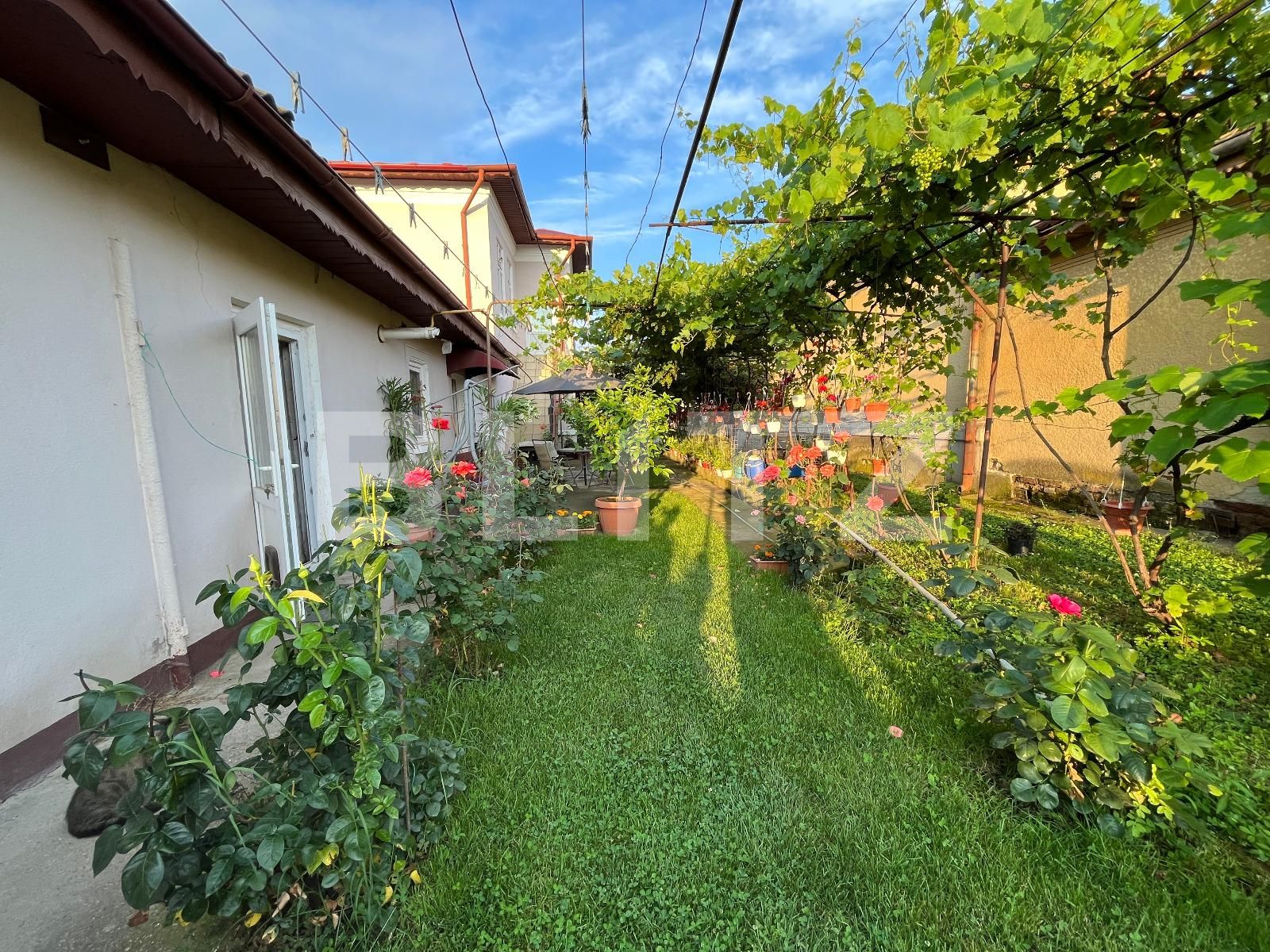 Casa de vânzare 6 camere Mofleni - 119785CV | BLITZ Craiova | Poza18