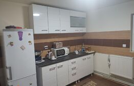 Casă P+M 132 mp ,zona Damila