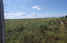 Teren intravilan 4200 mp , zona Cosoveni