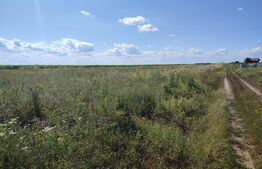 Teren intravilan 4200 mp , zona Cosoveni