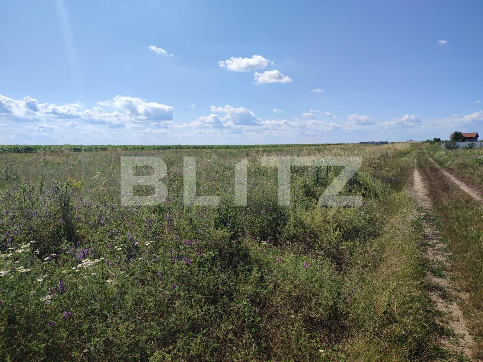 Teren de vânzare Exterior Est - 119884TV | BLITZ Craiova | Poza2