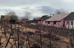 Casa parter, 5 camere și 1250 mp teren, Băilești, zona Liceului Mihai Viteazu!