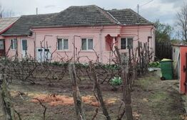 Casa parter, 5 camere și 1250 mp teren, Băilești, zona Liceului Mihai Viteazu!