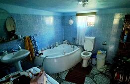 Casa parter, 5 camere și 1250 mp teren, Băilești, zona Liceului Mihai Viteazu!