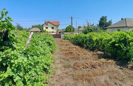 Casa parter, 5 camere și 1250 mp teren, Băilești, zona Liceului Mihai Viteazu!