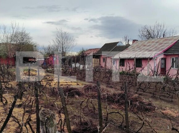 Casa de vânzare 5 camere Sud-Vest - 119947CV | BLITZ Craiova | Poza3