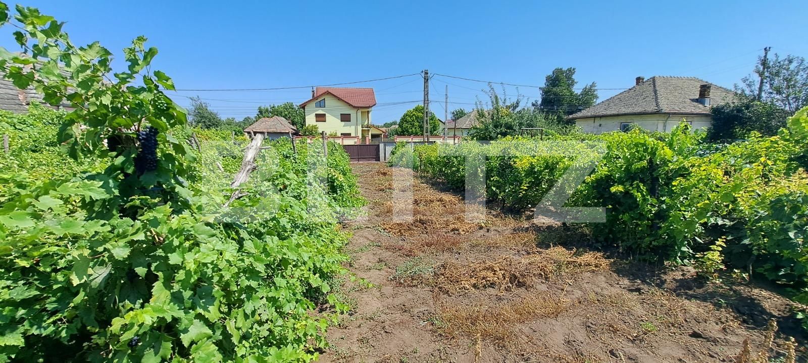 Casa de vânzare 5 camere Sud-Vest - 119947CV | BLITZ Craiova | Poza12