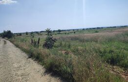 Teren 7000 mp , zona Șimnicu de Jos