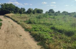 Teren 4761 mp , zona Șimnicul de Jos