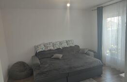 Casă P+M teren 300 mp ,zona Brestei