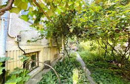 Casa central, D+P+E, 241 mp, 285 mp teren