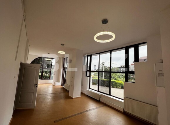 Spațiu comercial de închiriat Lapus - 120409SIC | BLITZ Craiova | Poza4