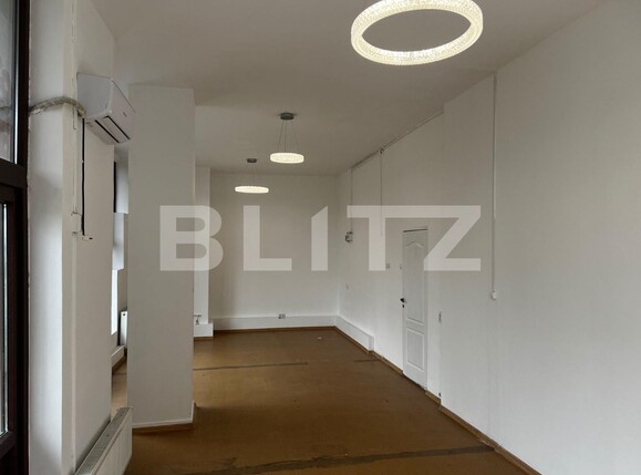 Spațiu comercial de închiriat Lapus - 120409SIC | BLITZ Craiova | Poza7