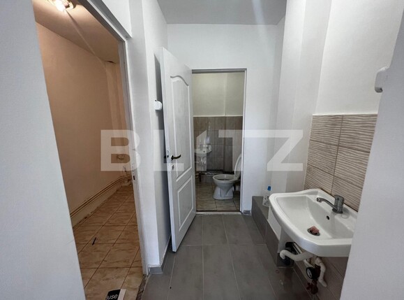 Spațiu comercial de închiriat Lapus - 120409SIC | BLITZ Craiova | Poza5