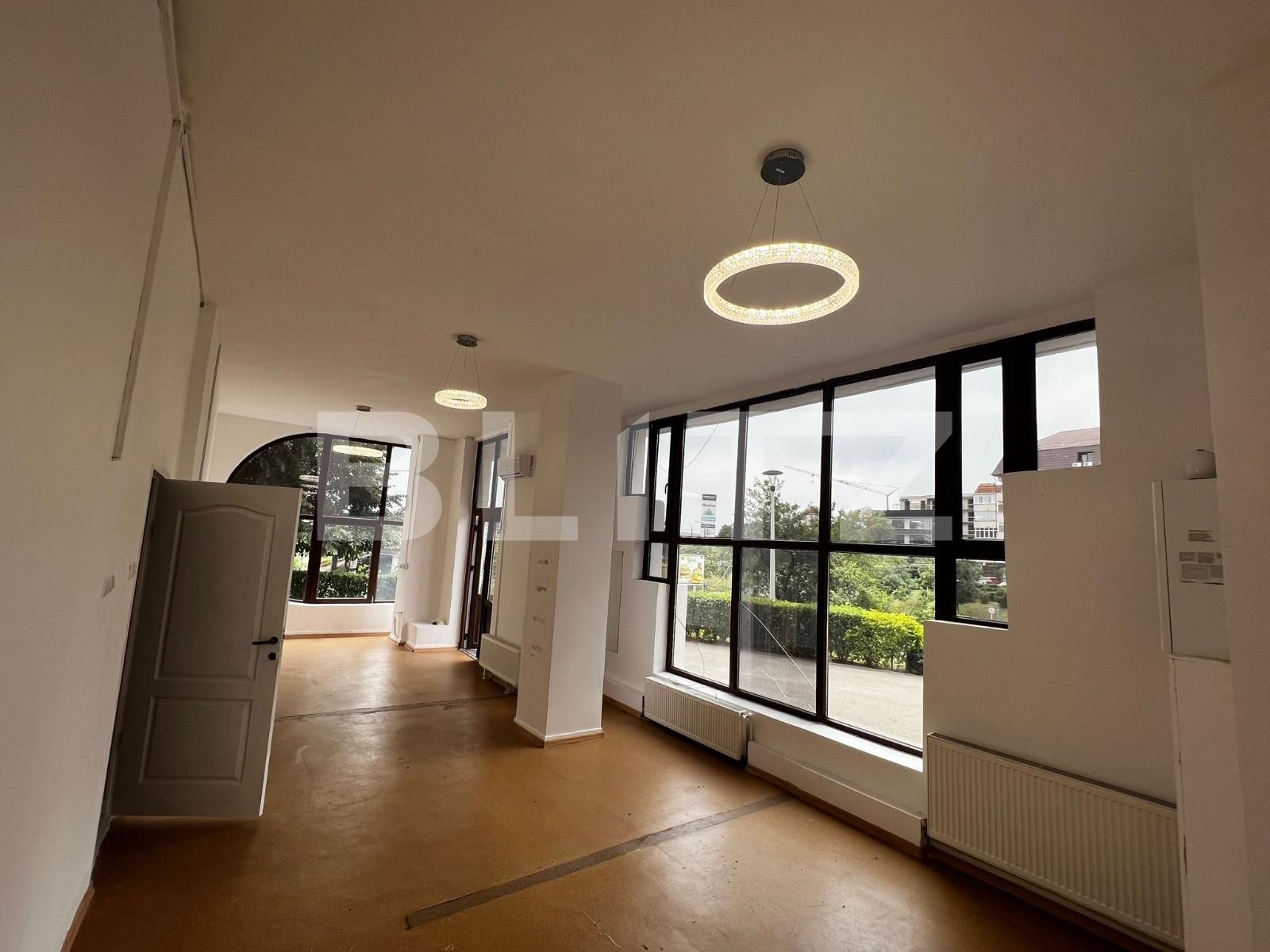 Spațiu comercial de închiriat Lapus - 120409SIC | BLITZ Craiova | Poza4