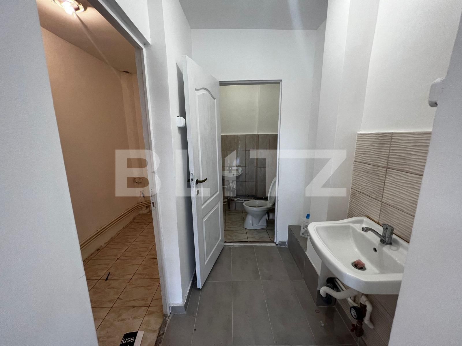 Spațiu comercial de închiriat Lapus - 120409SIC | BLITZ Craiova | Poza5