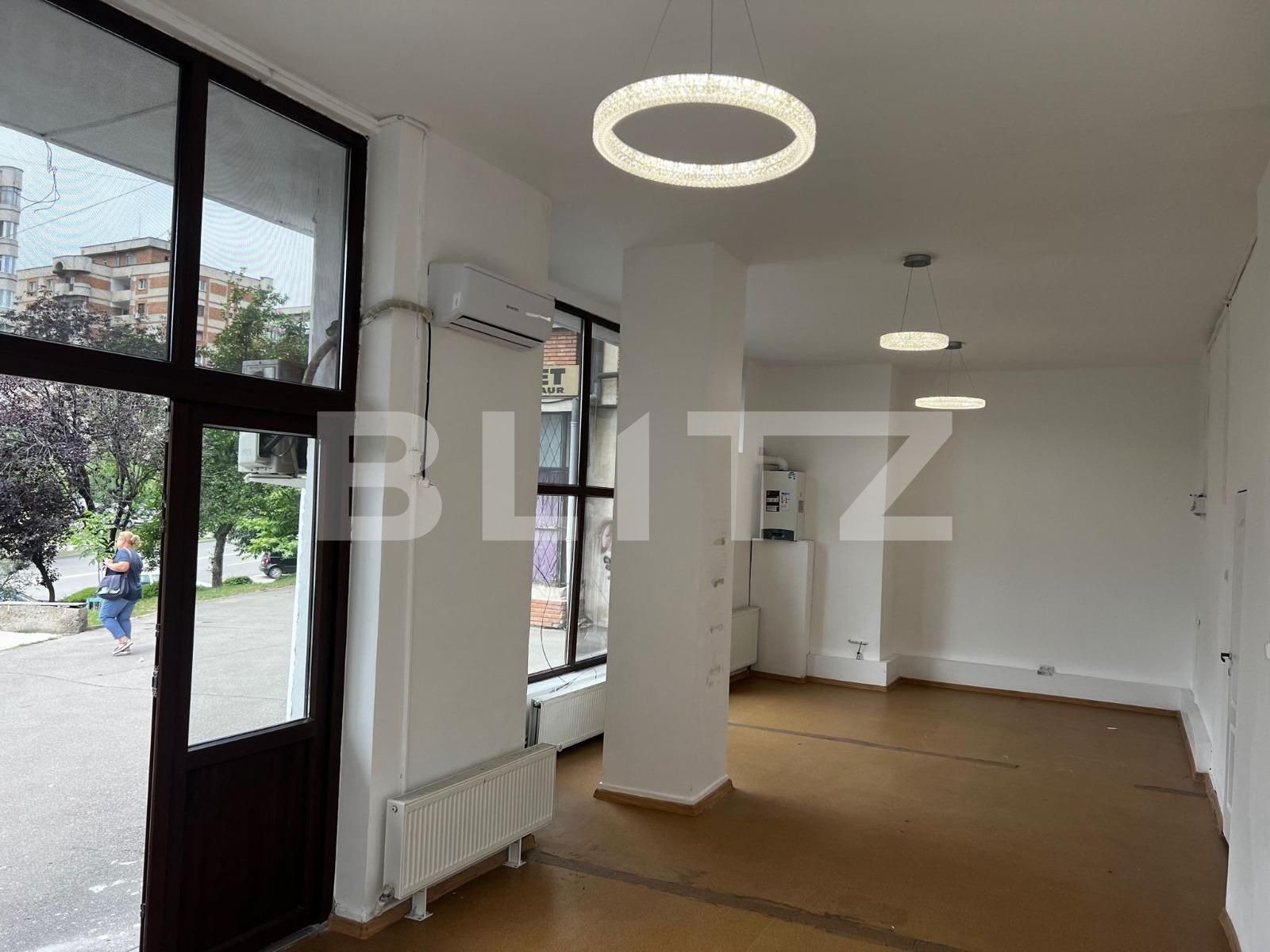 Spațiu comercial de închiriat Lapus - 120409SIC | BLITZ Craiova | Poza3