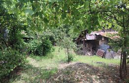 Casă bătrânească cu teren 1185 mp , Palilula