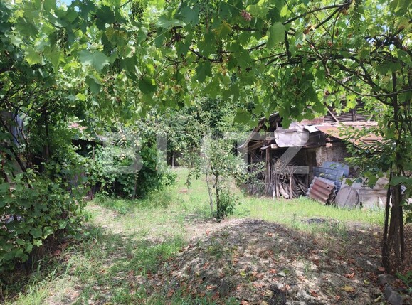 Casa de vânzare 3 camere Palilula - 120452CV | BLITZ Craiova | Poza5