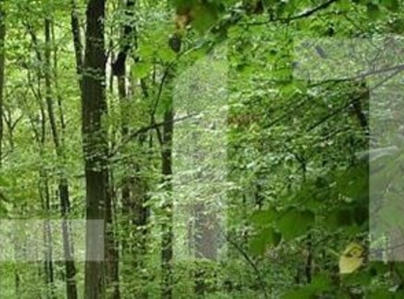 Teren de vânzare Leamna de Jos - 120631TV | BLITZ Craiova | Poza1