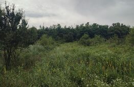 Teren intravilan  3300 mp   , zona Leamna de Sus 