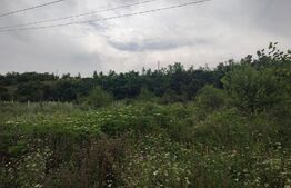 Teren intravilan  3300 mp   , zona Leamna de Sus 