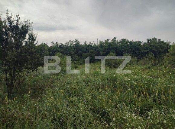 Teren de vânzare Leamna de Sus - 120640TV | BLITZ Craiova | Poza2