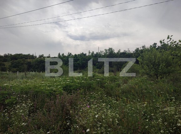 Teren de vânzare Leamna de Sus - 120640TV | BLITZ Craiova | Poza1
