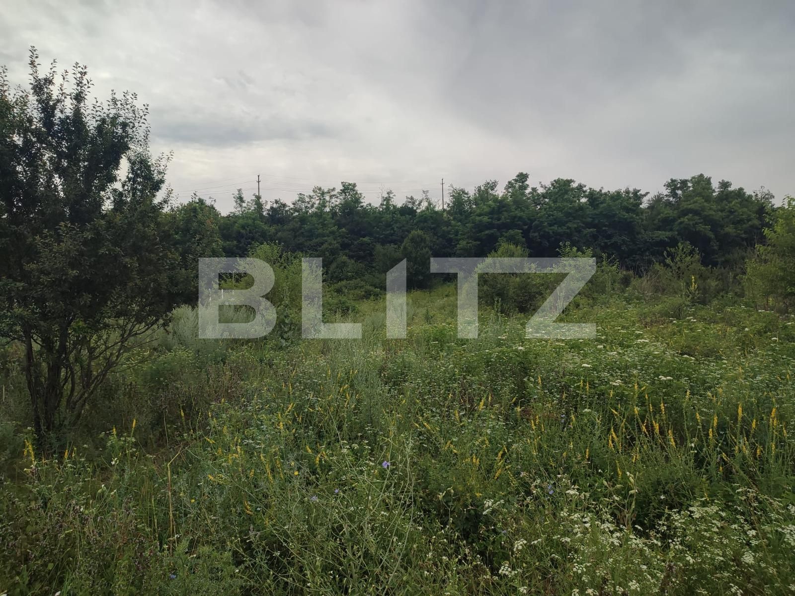 Teren de vânzare Leamna de Sus - 120640TV | BLITZ Craiova | Poza2