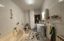 Casa la cheie D+P+E+M, 280 mp utili, Bariera Vilcii