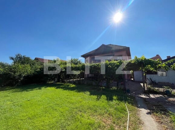 Casa de vânzare 9 camere Bariera Valcii - 120790CV | BLITZ Craiova | Poza18