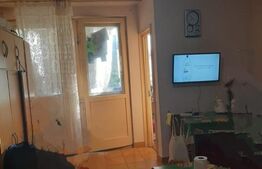 Apartament 1 camera, semidecomandat, 27mp, Brazda lui Novac