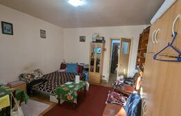 Apartament 1 camera, semidecomandat, 27mp, Brazda lui Novac