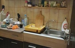 Apartament o camera, 32mp, Brazda lui Novac