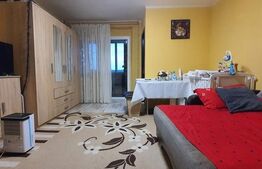 Apartament o camera, 32mp, Brazda lui Novac