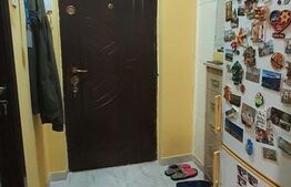 Apartament o camera, 32mp, Brazda lui Novac