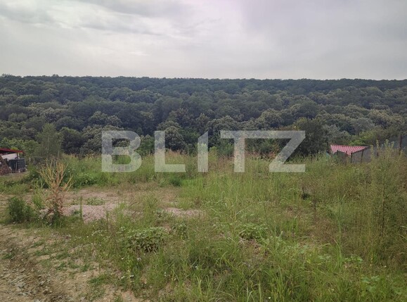 Teren de vânzare Leamna de Jos - 120849TV | BLITZ Craiova | Poza2