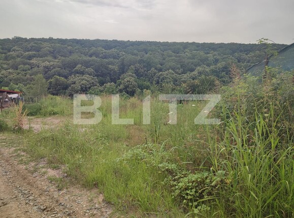 Teren de vânzare Leamna de Jos - 120849TV | BLITZ Craiova | Poza1