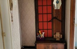 Apartament 2 camere, 48 mp, Brazda lui Novac