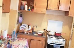 Garsoniera,  25 mp, zona Rovine 