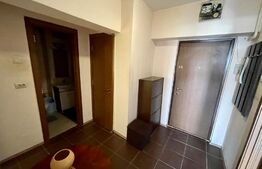 Apartament 2 camere 50mp, centrala termica, aer conditionat, Rovine