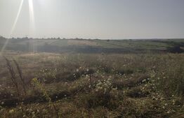 Teren intravilan 5000 mp deschidere 17 ml la DN65 , zona Qfort 