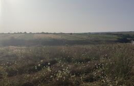 Teren intravilan 5000 mp deschidere 17 ml la DN65 , zona Qfort 