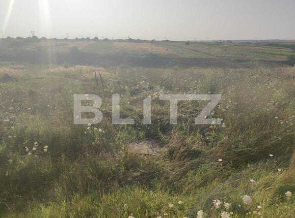 Teren de vânzare Pielești - 121428TV | BLITZ Craiova | Poza1