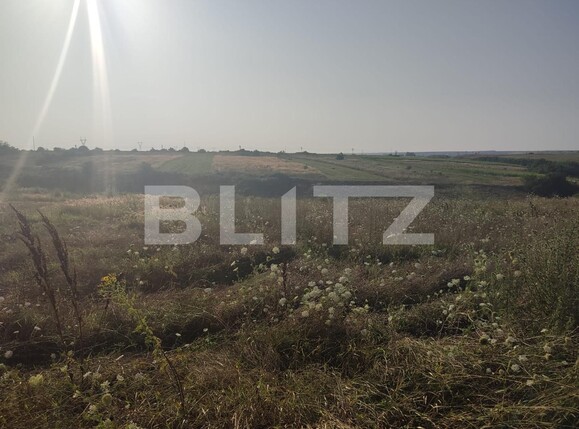 Teren de vânzare Pielești - 121428TV | BLITZ Craiova | Poza2