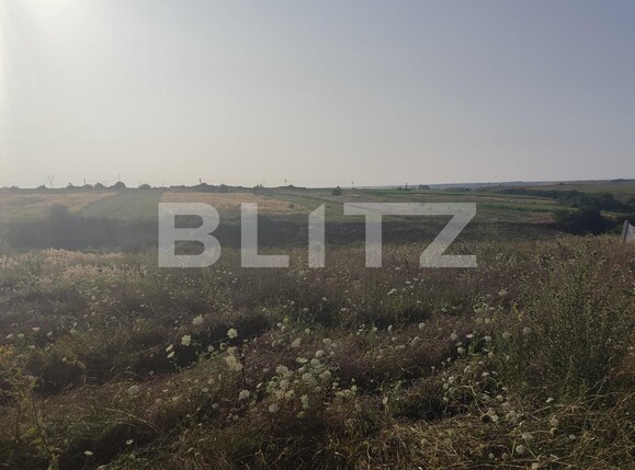 Teren de vânzare Pielești - 121428TV | BLITZ Craiova | Poza3