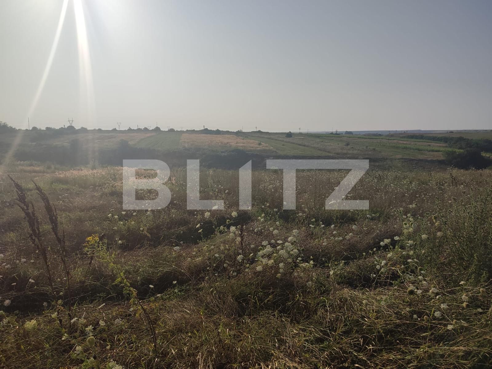 Teren de vânzare Pielești - 121428TV | BLITZ Craiova | Poza2