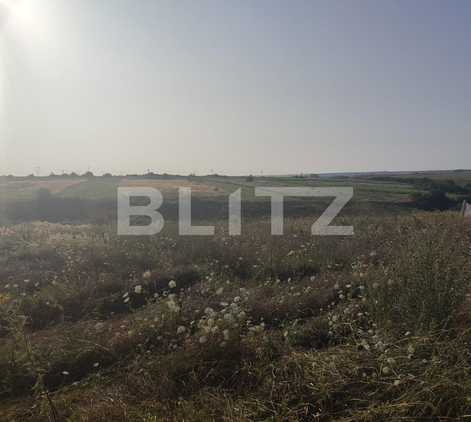 Teren de vânzare Pielești - 121428TV | BLITZ Craiova | Poza3