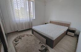 Apartament de 2 camere, 45 mp, Centrala, A.C., zona Calea Severin