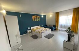 Garsoniera decomandata 53mp, zona Brestei 